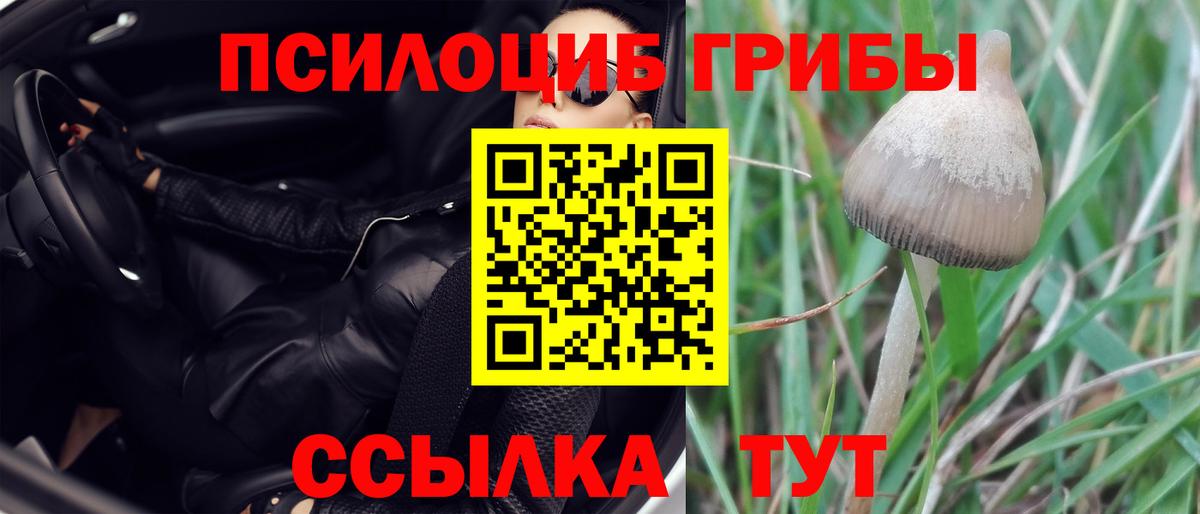 Тихорецк  Псилоцибиновые грибы MAGIC MUSHROOMS  наркота  Вход с VPN 