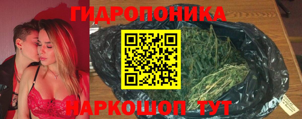 Канабис Amnesia  Каннабис конопля  Вход с VPN  Тихорецк 